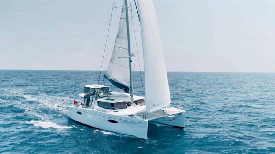 Sailing and Whale Watching in East Coast Sri Lanka! - The Experience on Deck