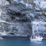 Sailing and Wildlife Tour Akaroa Fox II Sailing - What Makes This Tour Stand Out?
