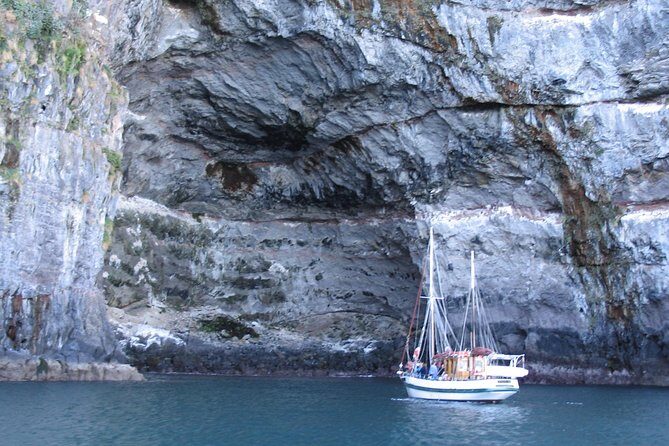 Sailing and Wildlife Tour Akaroa Fox II Sailing - What Makes This Tour Stand Out?