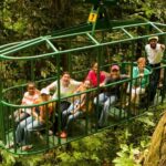 Saint Lucia: Aerial Tram Tour at Rainforest Adventures - Who Will Enjoy This Tour?