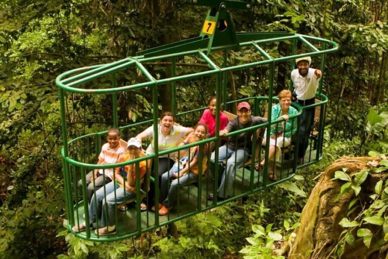 Saint Lucia: Aerial Tram Tour at Rainforest Adventures - Who Will Enjoy This Tour?