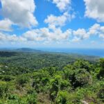 Saint Lucia: Piton Hike - The Trail and Its Challenges