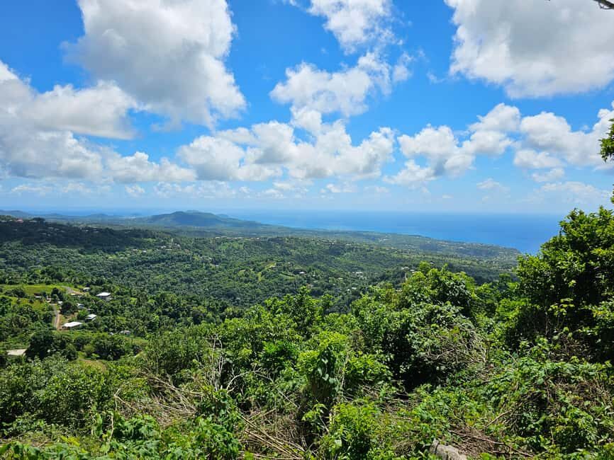 Saint Lucia: Piton Hike - The Trail and Its Challenges