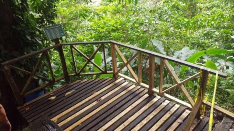 Saint Vincent: Caribbean Odyssey Tour - The Good, the Not-So-Good, and the Practicalities