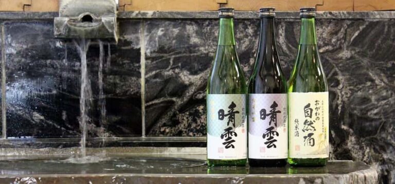 Saitama : Seiun Sake Brewery Tour and Tasting - Who Should Consider This Tour?