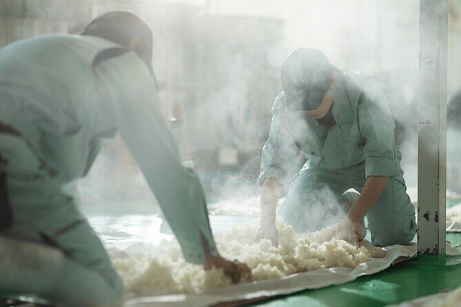 Sake Heritage Nagoya Brewers Insights and Tastings tour - Inside the Modern Brewery: From Grain to Glass