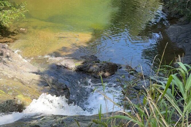 Salto de Pilar Cliff Jumping Tour - What to Expect in Terms of Logistics