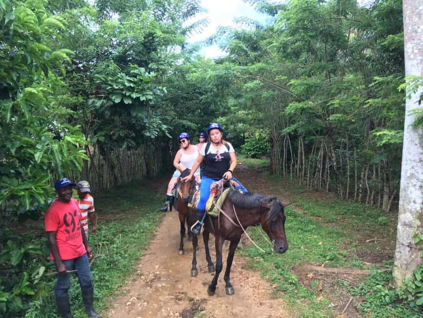 Samana, Ballenas, Cayo Levantado, Horseback Riding - The Itinerary Breakdown: From Mountains to Sea