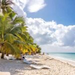 Samana: Catamaran Cruise to Bacardi Island & Whale Watching - Who Should Book This Tour?