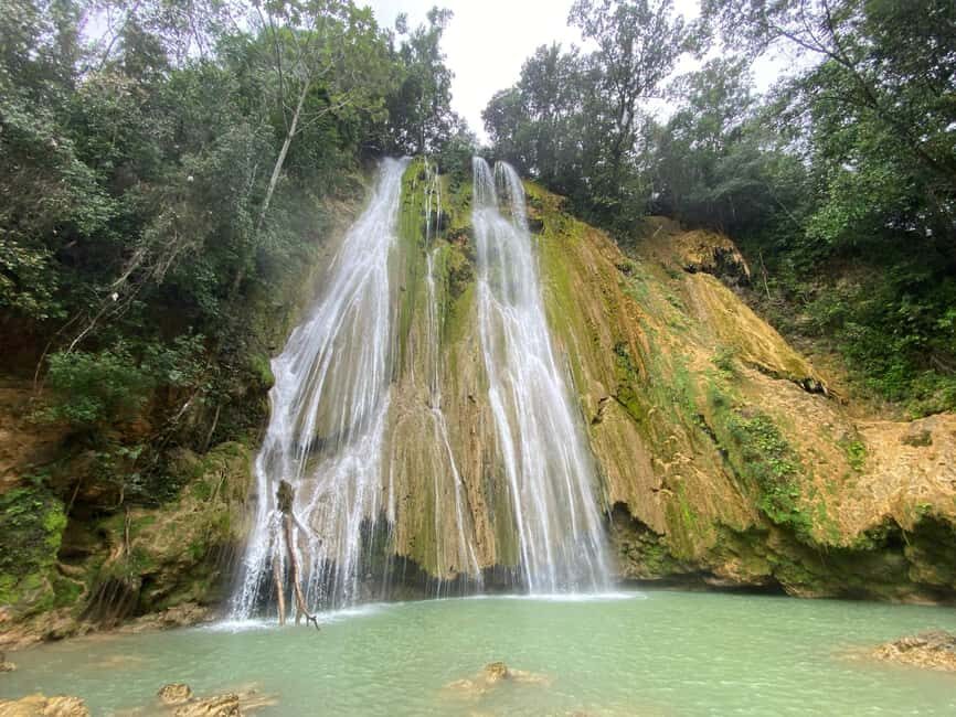 Samaná: El Limón Waterfall Horseback Riding Tour - Who Will Enjoy This Tour?