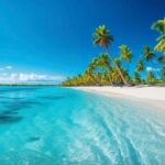 Samaná from Punta Cana: Cayo and Waterfall + Whale Watch - What Makes This Tour Valuable?