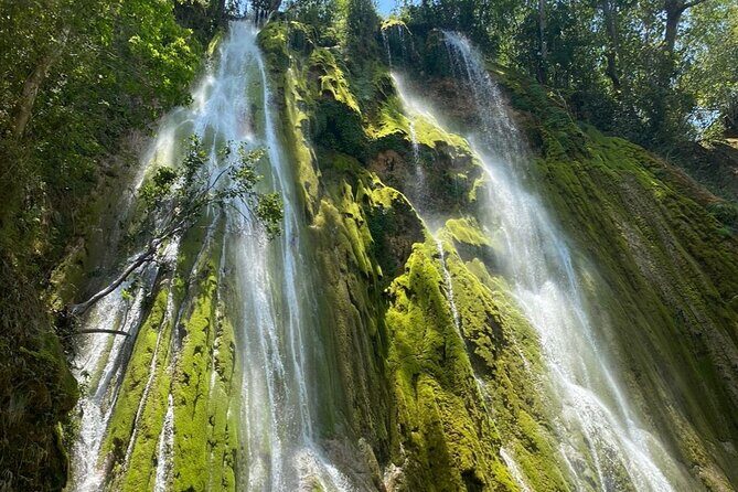 Samana from Punta Cana - Full Day - Detailed Breakdown of the Itinerary