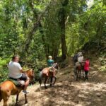 Samana full day, Risen Key, Horses, Lemon waterfall - Practical Details and What to Expect