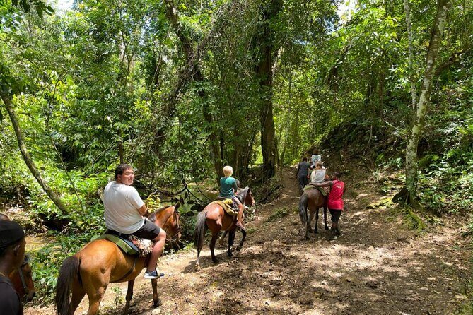 Samana full day, Risen Key, Horses, Lemon waterfall - Practical Details and What to Expect