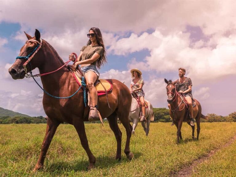 Samana: HorseRiding, Boat Tour in Los Haitises + Cano Hondo - Practical Tips & Considerations