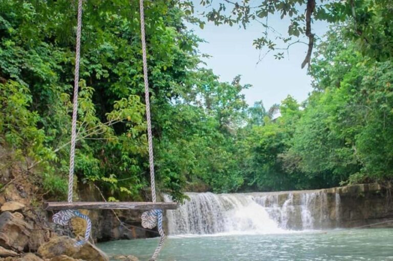 Samaná: Los Haitises Park, Caño Hondo & Yanigua Tour - Cruising the Mysterious Mangroves