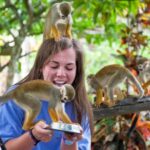 Samaná: Monkeyland and Open-Air Safari Truck Tour - The Guided Safari and Cultural Insights