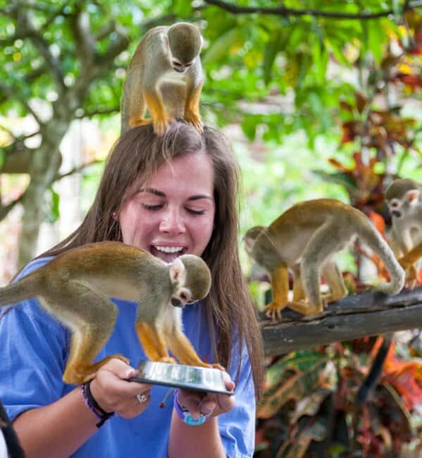 Samaná: Monkeyland and Open-Air Safari Truck Tour - The Guided Safari and Cultural Insights