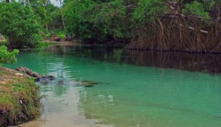 Samaná: Playa Rincón Safari Tour with Lunch & Drinks - The Highlight: Playa Rincón