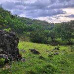 Samana: Private Los Haitises Expedition Caves & Mangroves - A Closer Look at the Tour Experience