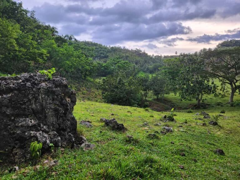 Samana: Private Los Haitises Expedition Caves & Mangroves - A Closer Look at the Tour Experience