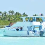 Samaná: Samaná Bay Whale Watching Tour with Drinks - What to Expect on the Tour