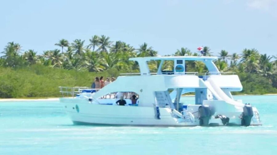 Samaná: Samaná Bay Whale Watching Tour with Drinks - What to Expect on the Tour