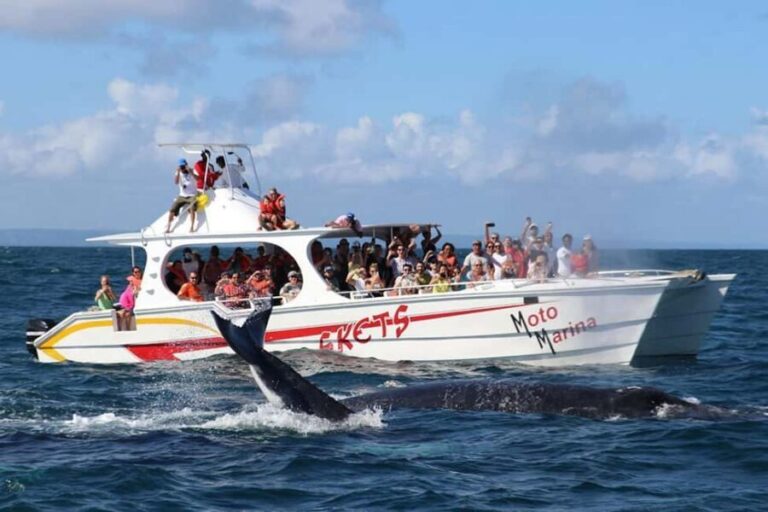 Samana: Whale Watching and Cayo Levantado Full Day Tour - Who Is This Tour Best For?