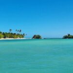 Samana Whales Watching Full Day Tour with Cayo Levantado and more - Practical Details and What to Expect