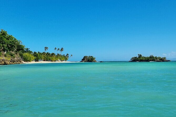 Samana Whales Watching Full Day Tour with Cayo Levantado and more - Practical Details and What to Expect