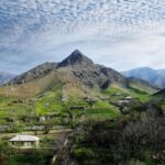 Samarkand: Guided Tour of Ancient and Modern Highlights - Practical Details and Tips