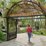 Samarkand: Pilaf & Tandoor Bread Class and Ceramic Workshop - Who Should Consider This Experience?