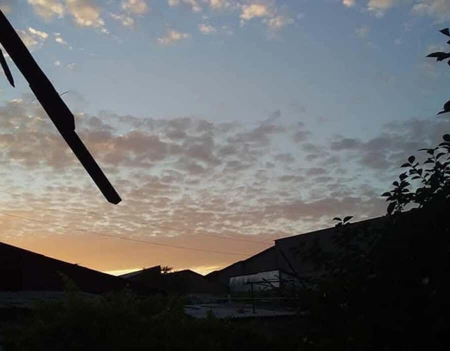 Samarkand to Timur's Legacy Shakhrisabz & Miraki Recreation - Who Should Take This Tour?  