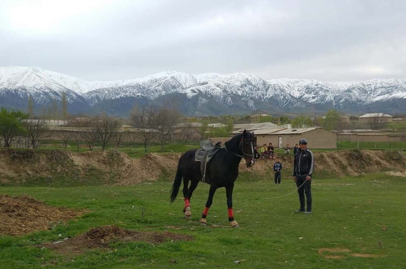 Samarkand: Uloq-Kopkari (Buzkashi) Game Day Tour - The Itinerary Breakdown