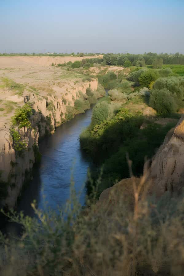 Samarkand: Village Tour with Homemade Dinner & Milking a Cow - A Deep Dive into the Village Tour Experience