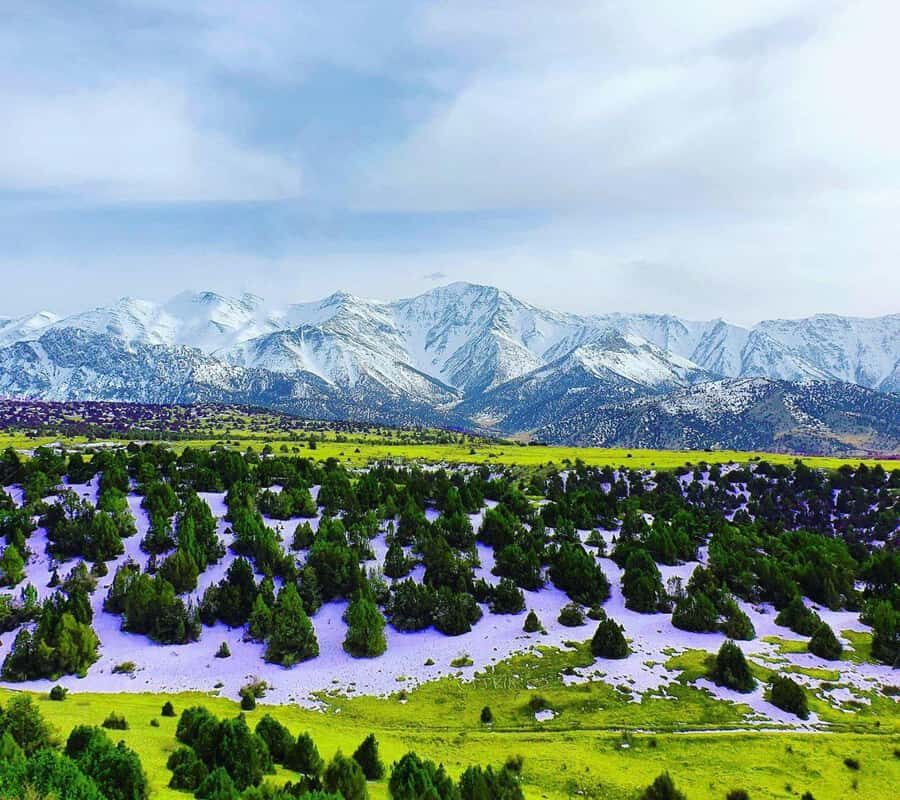 Samarkand: Zomin National Park Day Trip with Guide - Practical Details and What to Pack