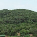 Same-Day Chitrakoot Tour: Temples, Caves & Waterfalls - The Sum Up