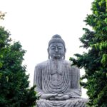 Same Day Private Bodhgaya Tour from Varanasi - Discovering the Serenity of Bodh Gaya’s Monasteries