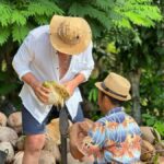 Samui: Ethical Elephants Sanctuary and Coconut Experience - The Sum Up: Who Will Love This Tour?