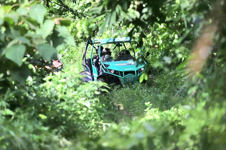 Samui: Jungle 4WD Buggy Experience with Mountain-view Lunch - Who Will Love This Experience?
