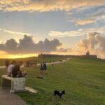 San Juan Highlights Driving Tour - Who Will Love This Tour?