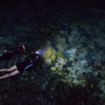 San Juan LED Night Snorkel - The Itinerary Breakdown