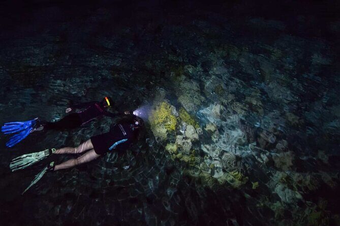 San Juan LED Night Snorkel - The Itinerary Breakdown