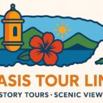 San Juan Private Old Walking Tour - Practical Details and Tips
