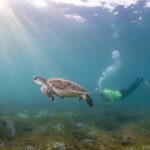 San Juan Snorkeling Tour with Fish and Turtles - The Itinerary Breakdown