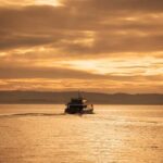 San Remo: Phillip Island Sunset Cruise - Why This Tour Is Worth It