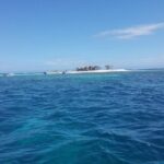 Sand fell Paradise Island Excursions - Food, Drinks, and Relaxation