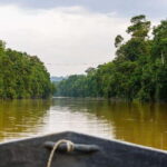 Sandakan : 3-Day Kinabatangan River Wildlife Adventure - Authentic Experiences and Extra Activities