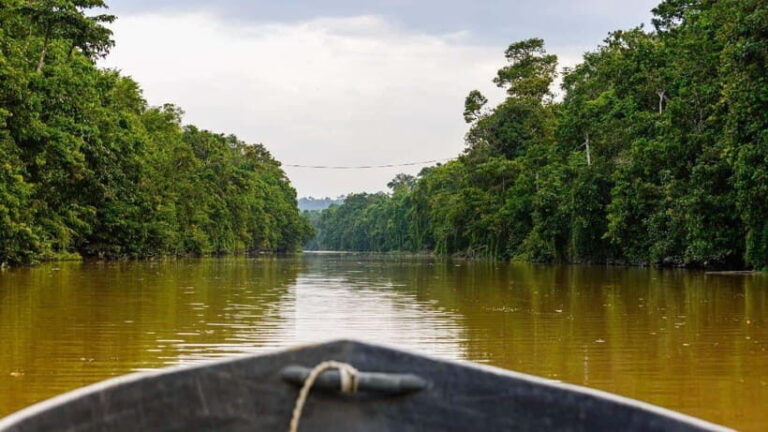 Sandakan : 3-Day Kinabatangan River Wildlife Adventure - Authentic Experiences and Extra Activities