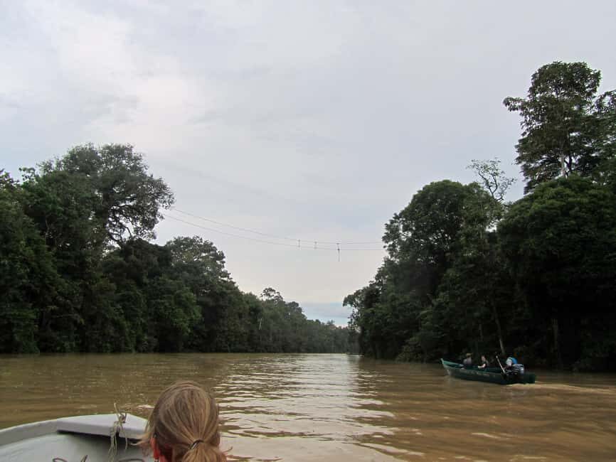 Sandakan: Gomantong Cave Echoes & Kinabatangan River Safari - Exploring the Caves and Wildlife of Sabah